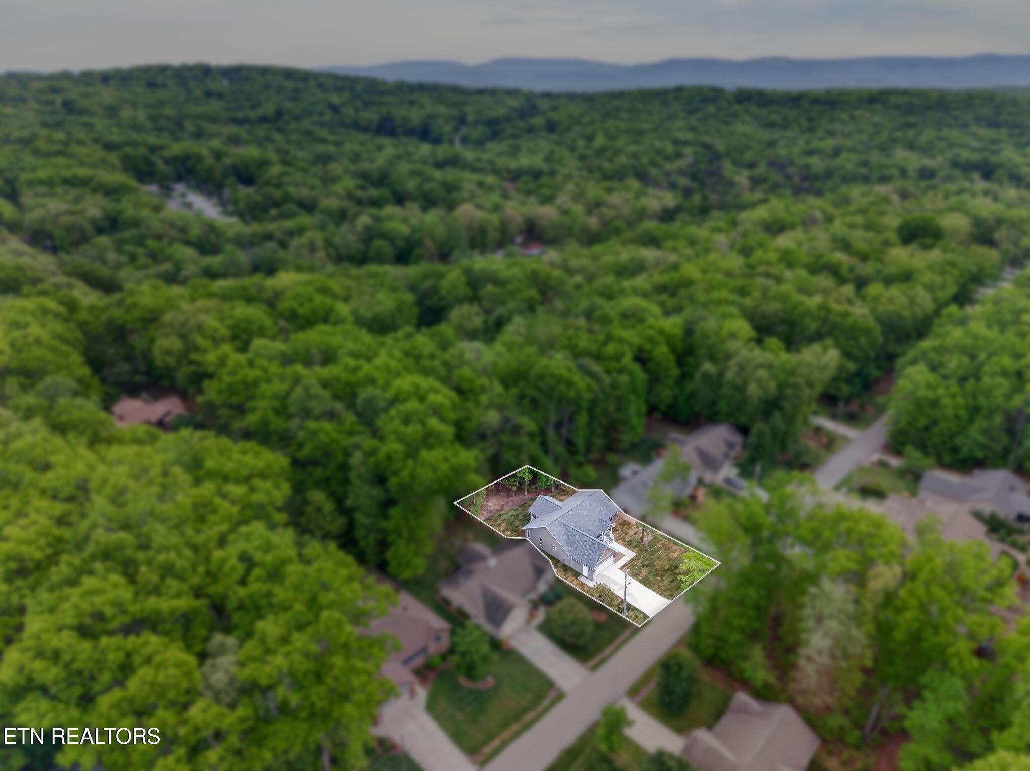 Image 2: Aerial
