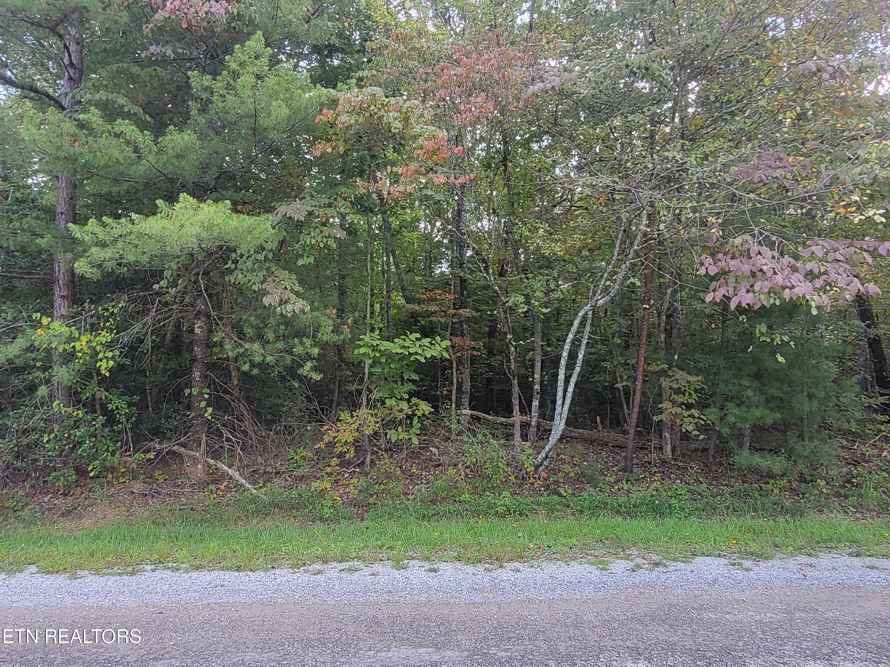 Image 1: 112 Tavistock Ln.