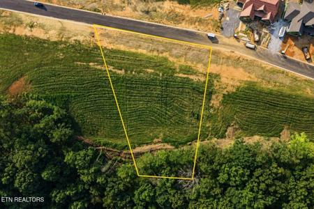 145 Canopy Trail Lane