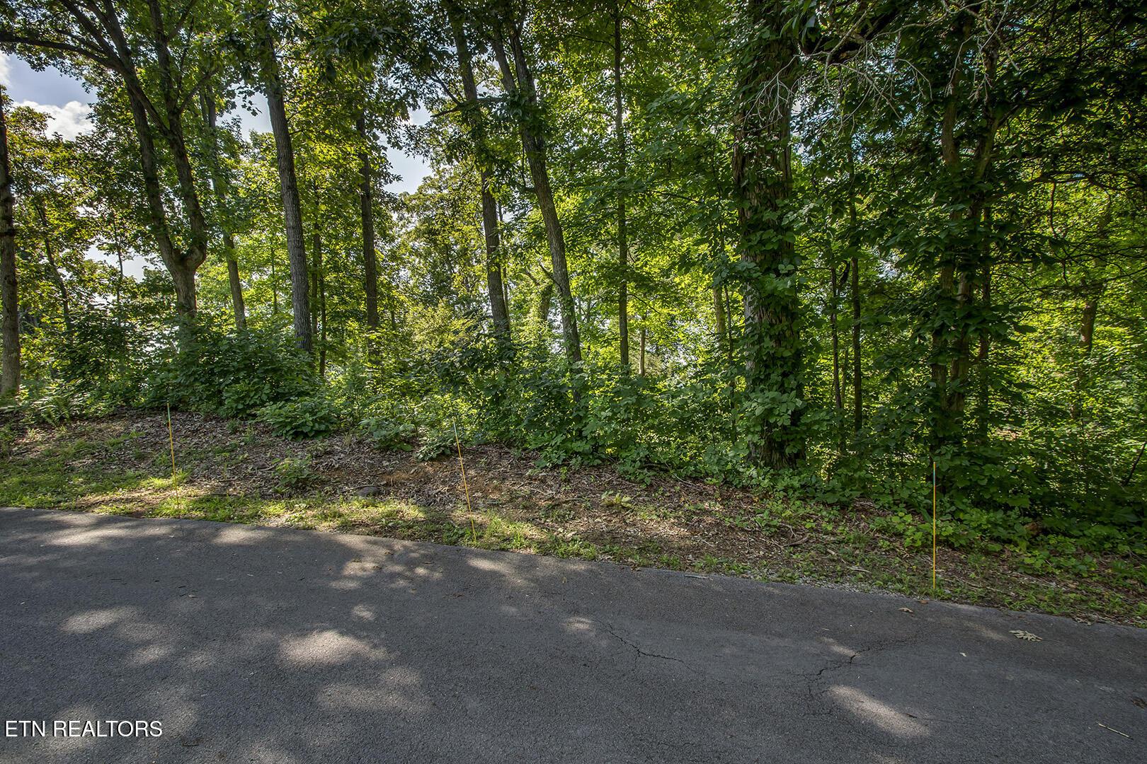 Image 2: 02_564 Bonne Vista Drive_Street_W-NW