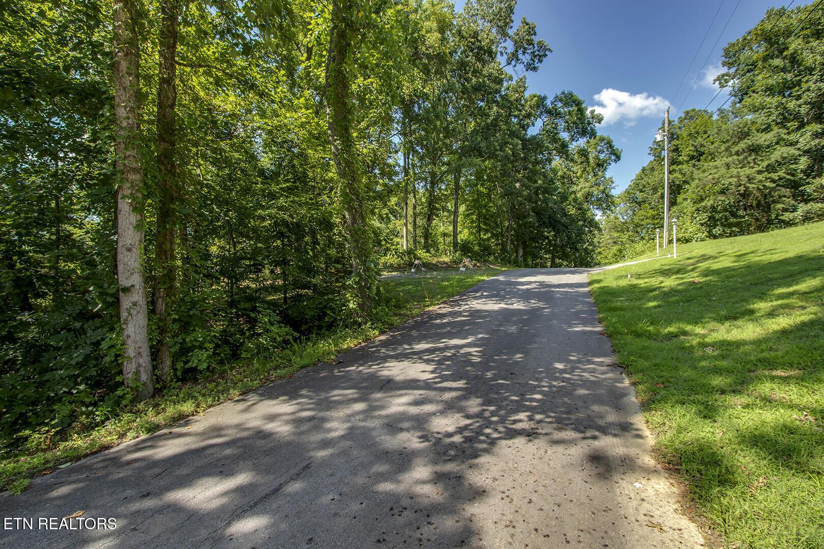 Image 4: 04_564 Bonne Vista Drive_Street_N-NE