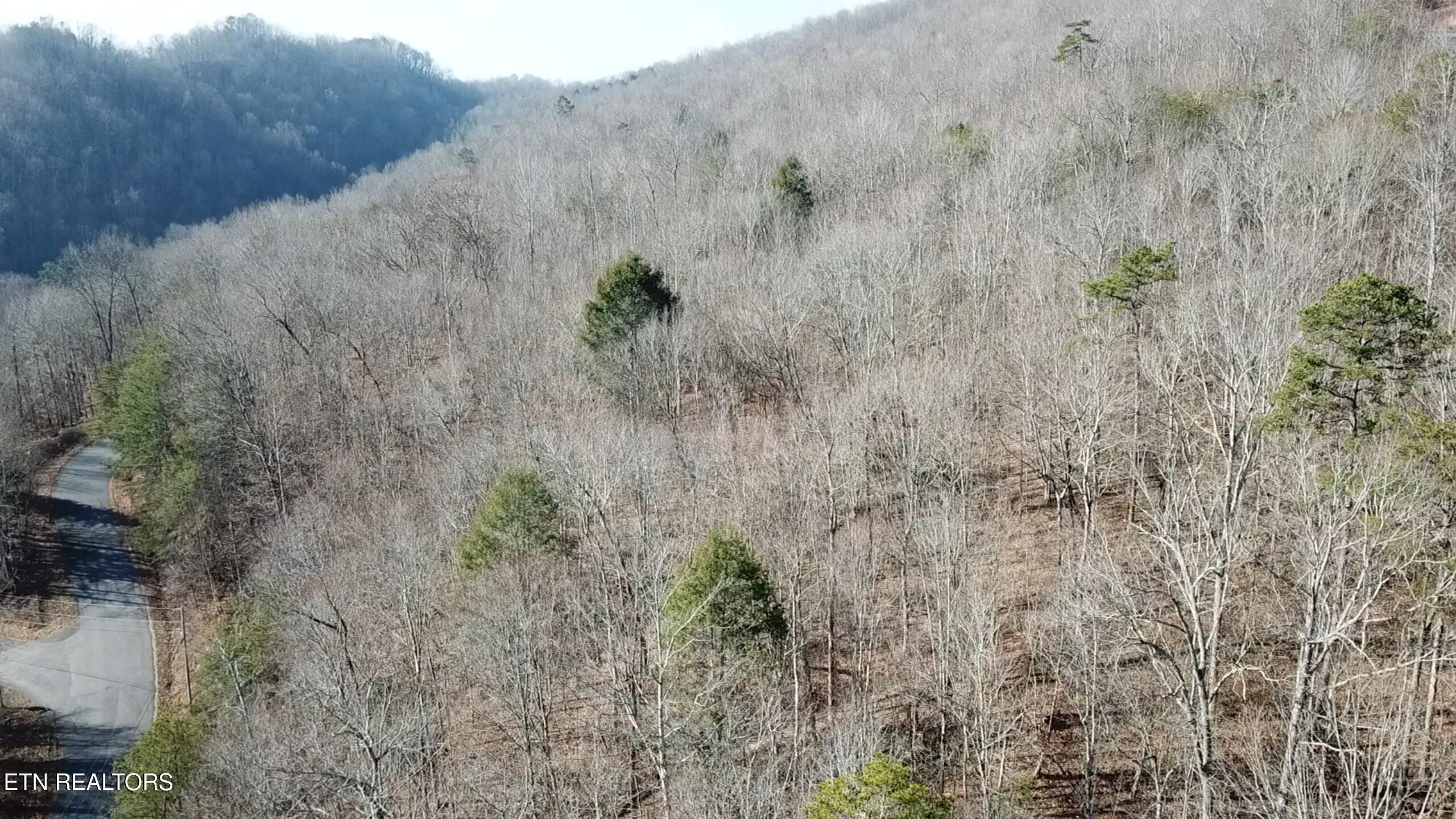 Image 2: 2026-01-08 104756