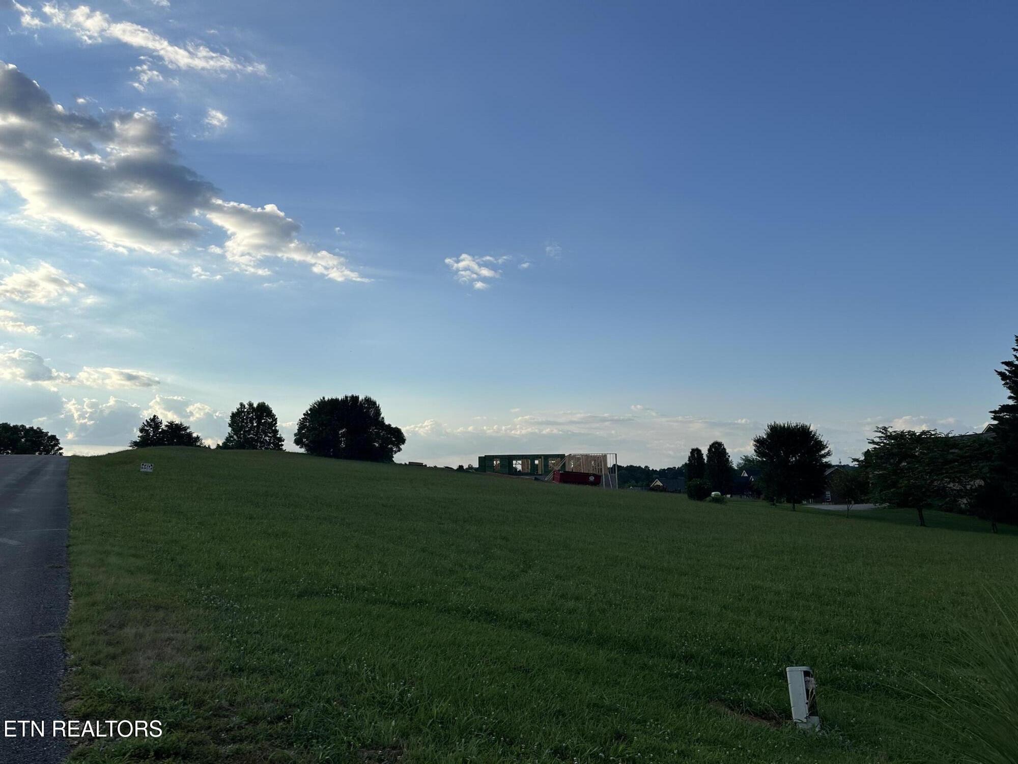 Image 2: IMG_2691