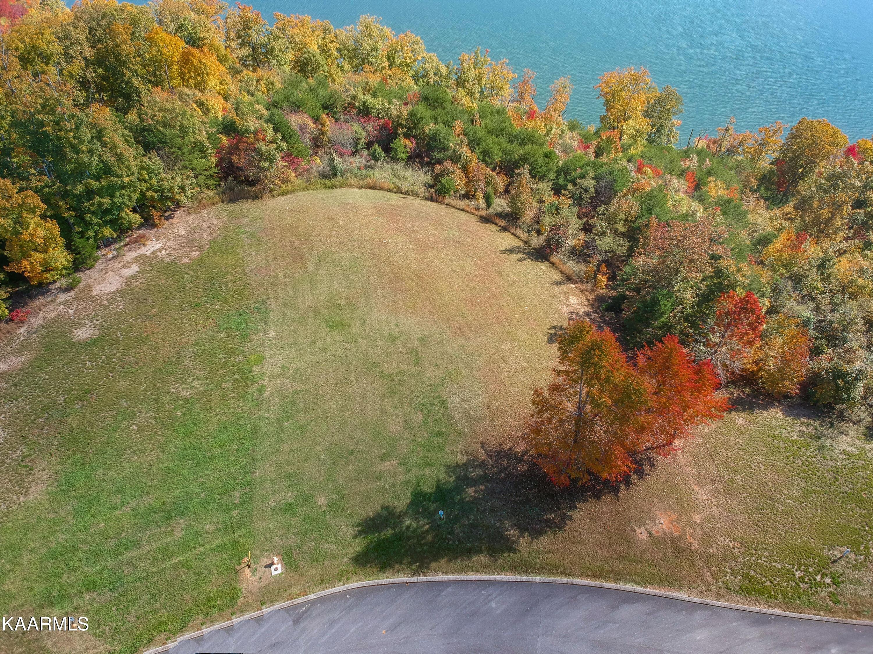 Image 4: 1.6 acres