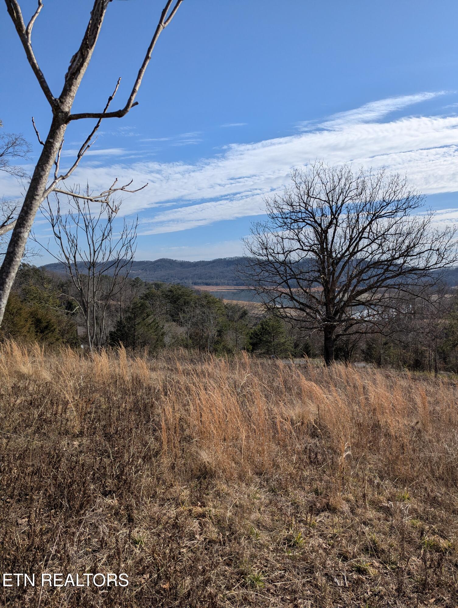 Image 2: PXL_20260121_170637142