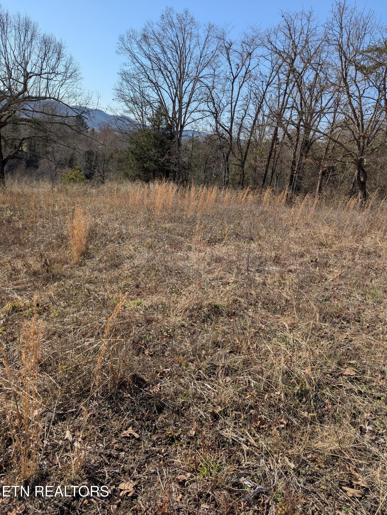 Image 3: PXL_20260121_170629541
