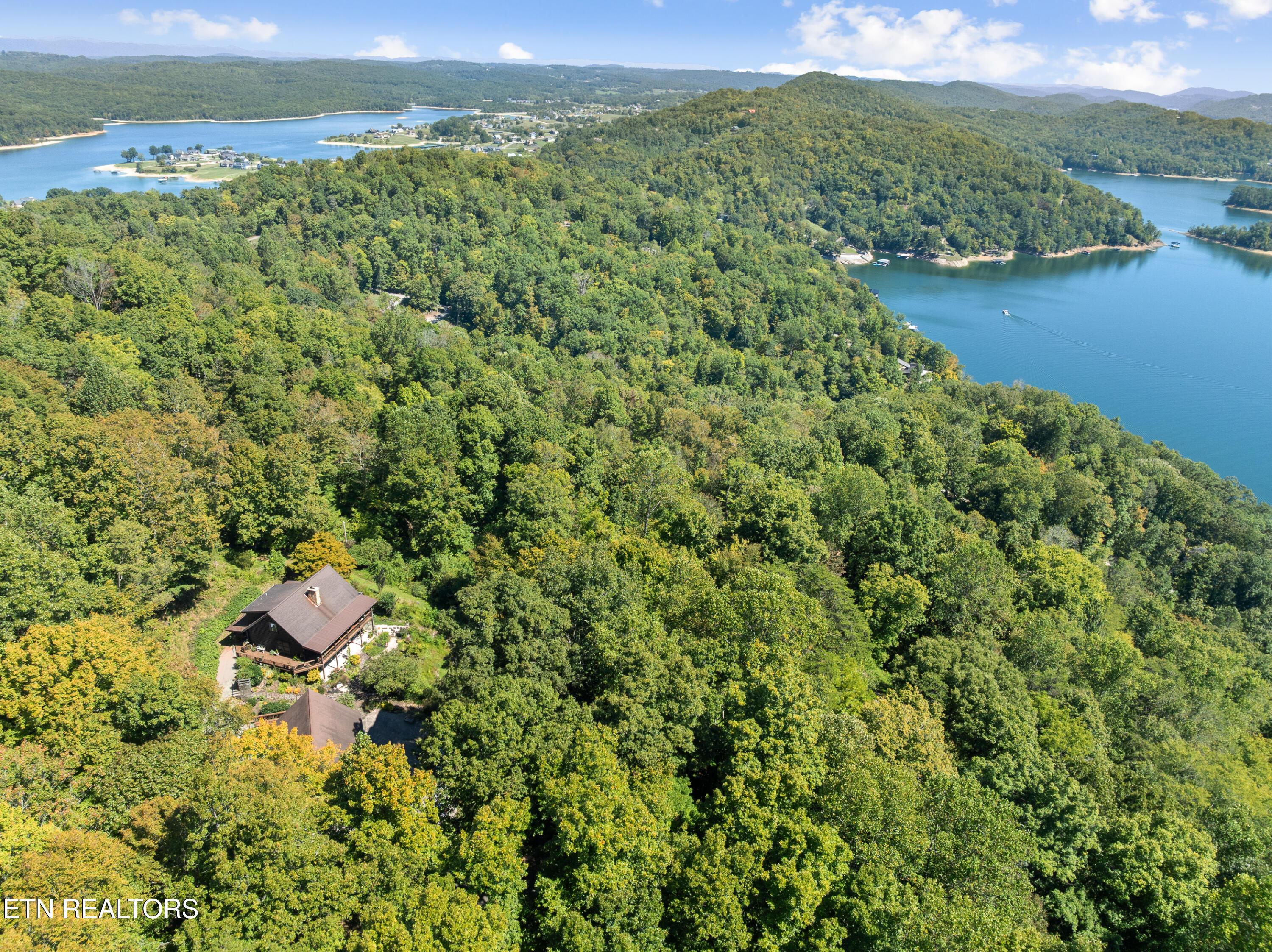 Image 4: DJI_0681