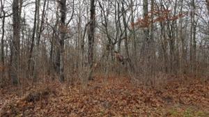 166 Saint George Drive 146