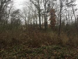 150 Meadowview Drive 203