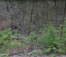 4146 Moccasin Lane