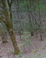 4144 Moccasin Lane