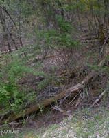 4136 Moccasin Lane
