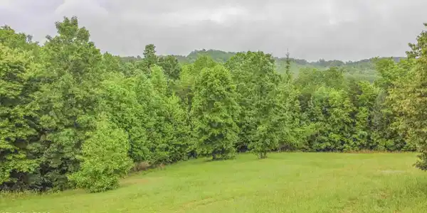 Image 2: ground_1