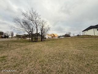 Image 4: Bottom Property View