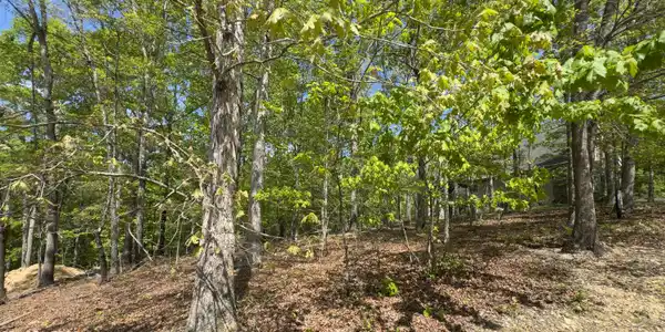 2085 Old Dogwood Tr
