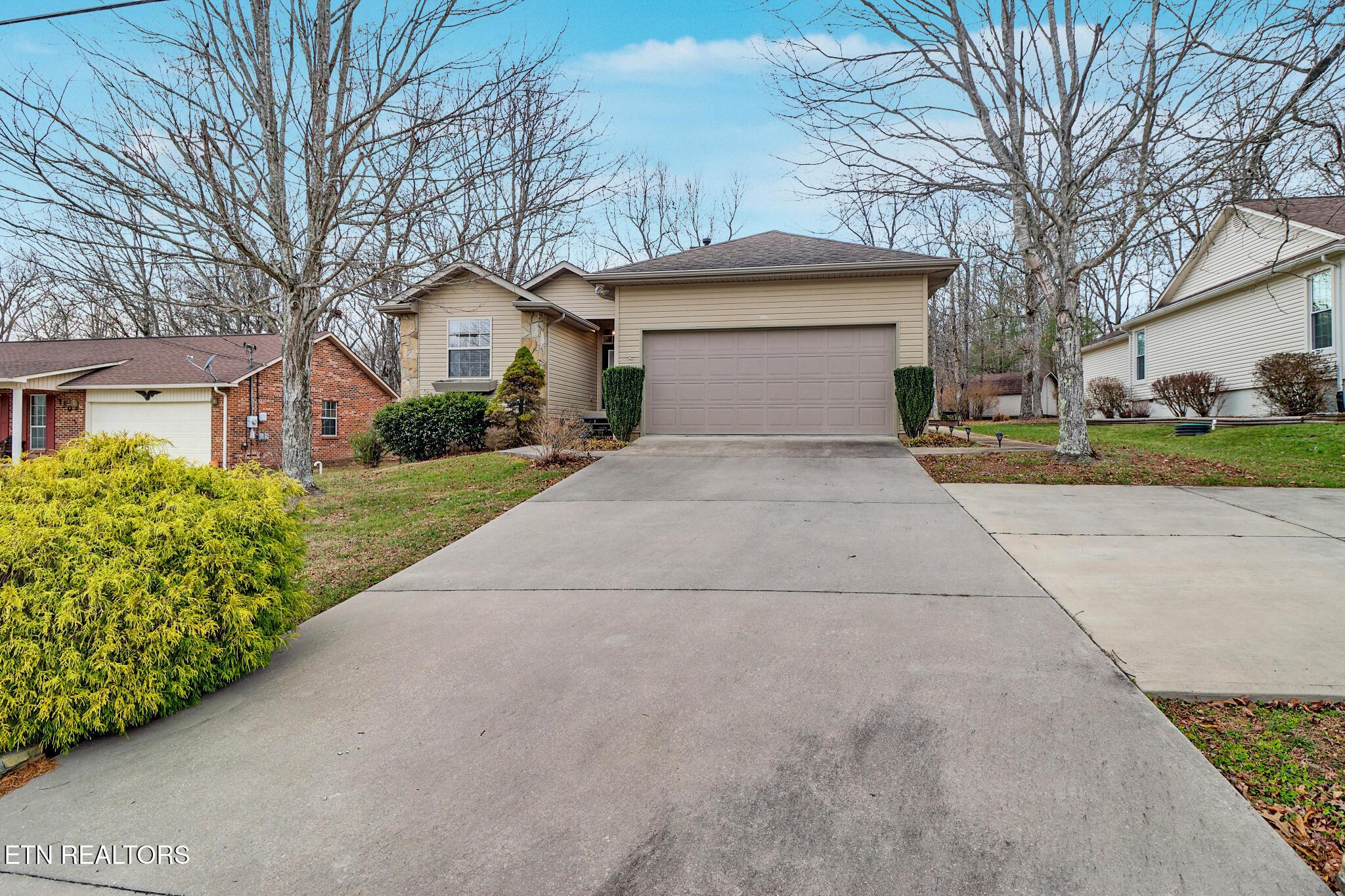 Image 2: if1a8995-if1a8999