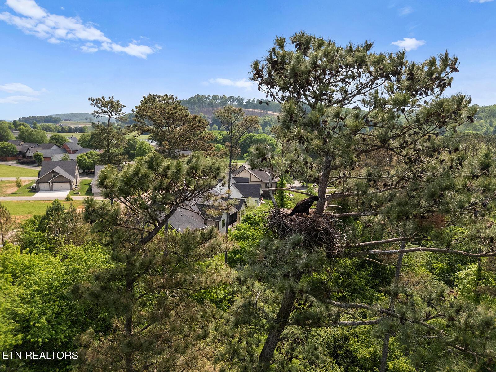 Image 4: DJI_20250430231323_0567_D