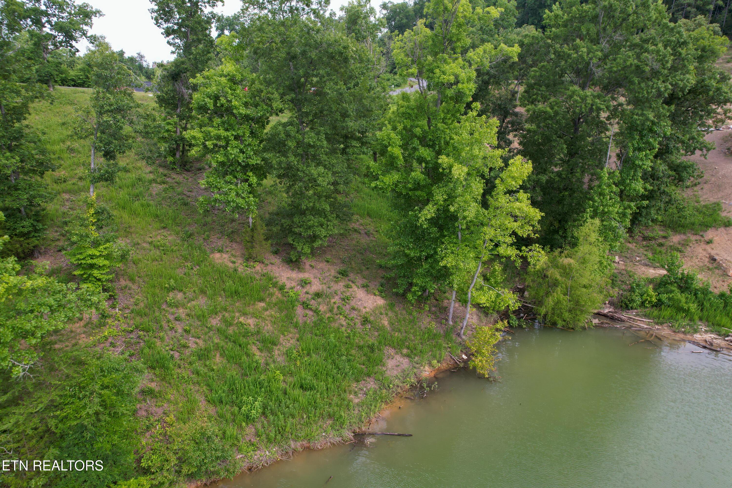 Image 2: dji_fly_20240619_100556_50_1718806374442