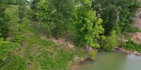 Image 2: dji_fly_20240619_100556_50_1718806374442