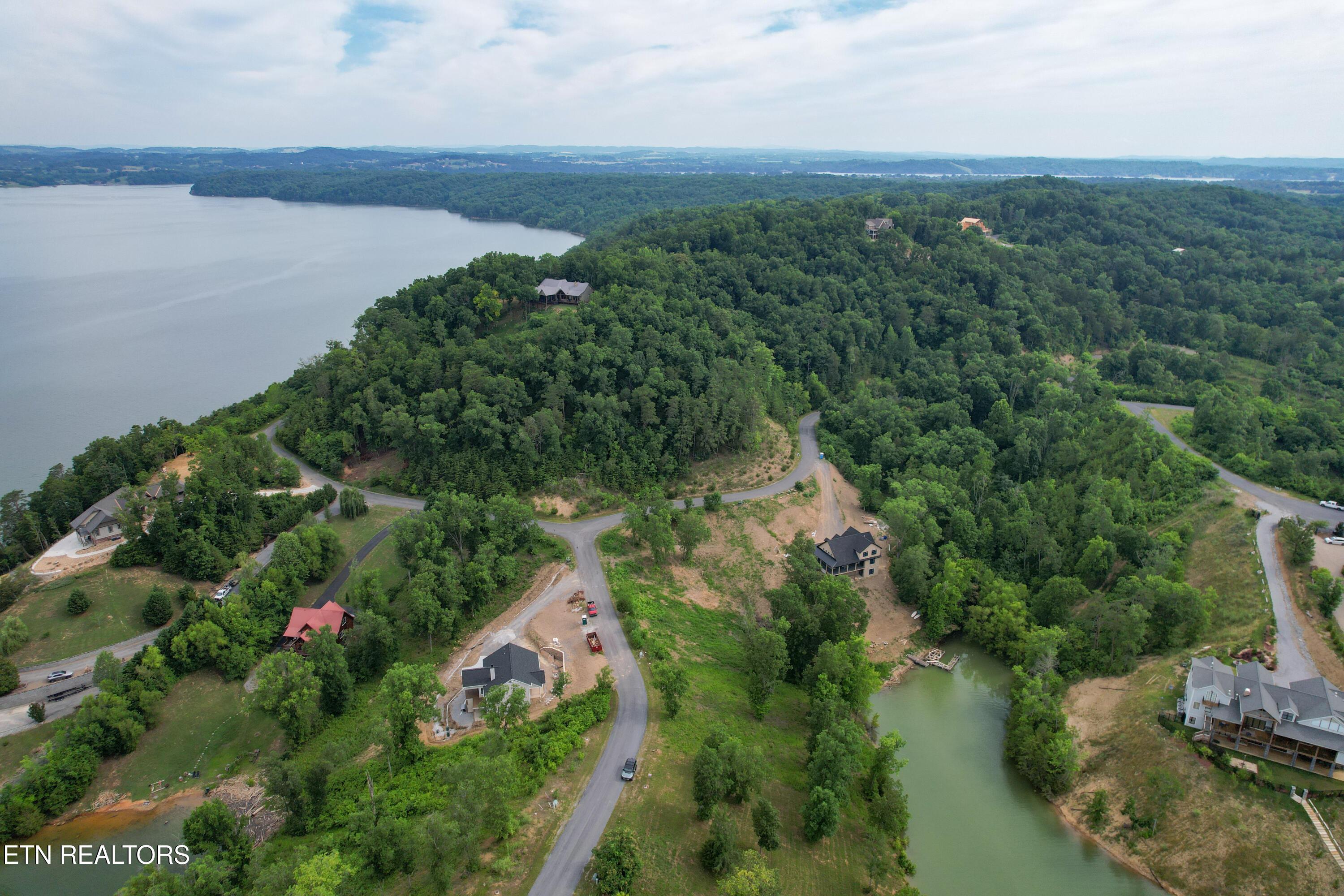 Image 4: dji_fly_20240619_100636_53_1718806357663