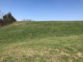 Image 2: IMG_1645