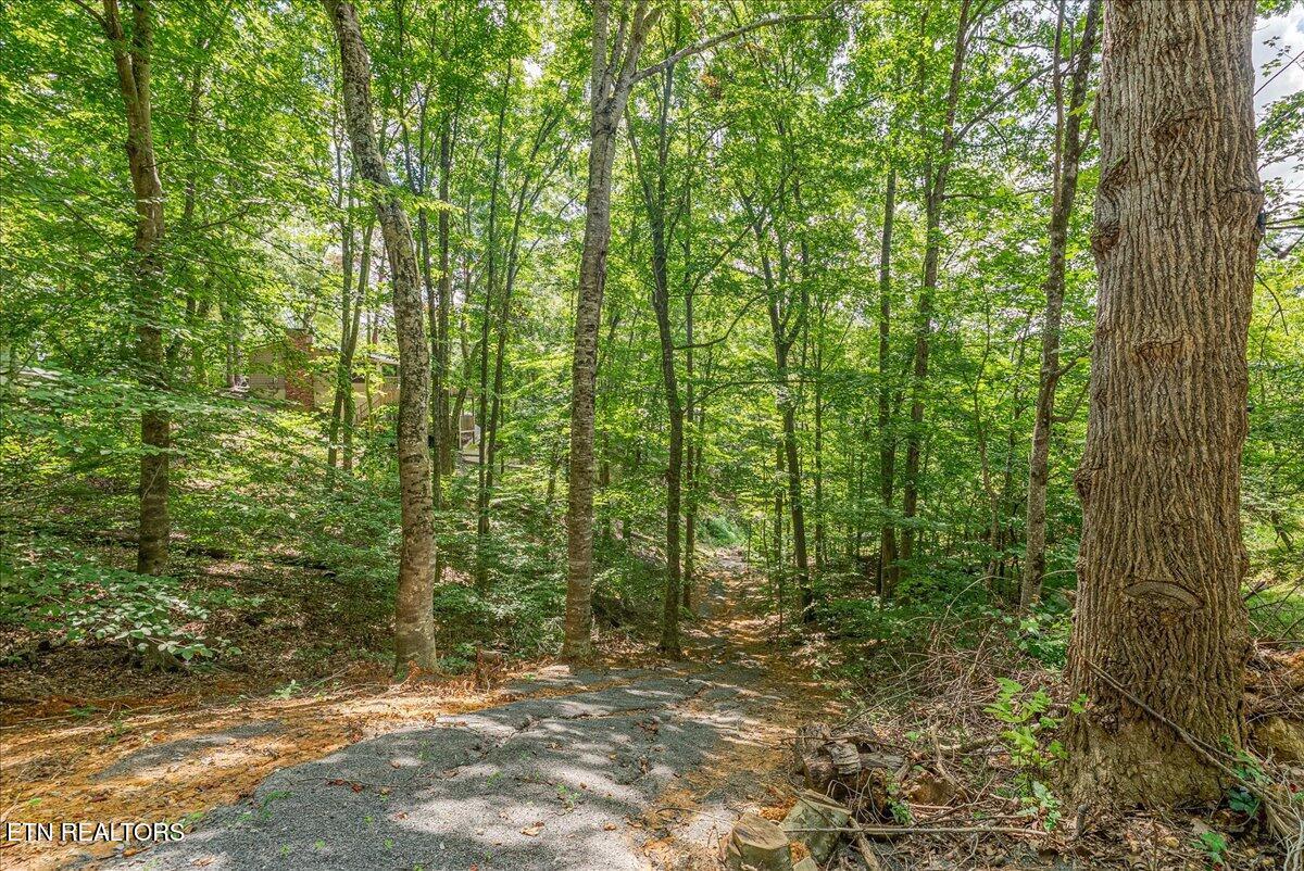 Image 3: bootbluff property trail pic 2