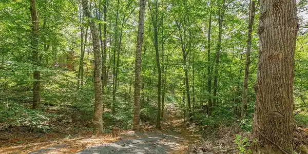Image 3: bootbluff property trail pic 2