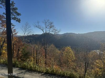 1738 Mountain Shores Rd