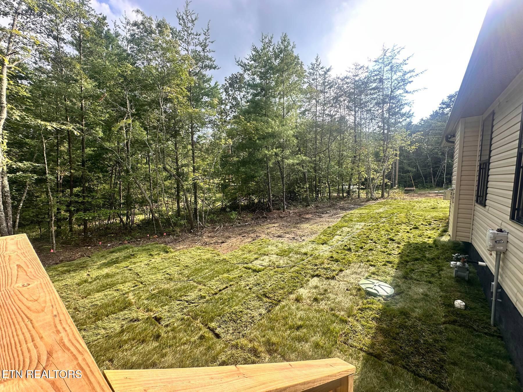 Image 4: Photo 22 07 2026 16 44 22 68