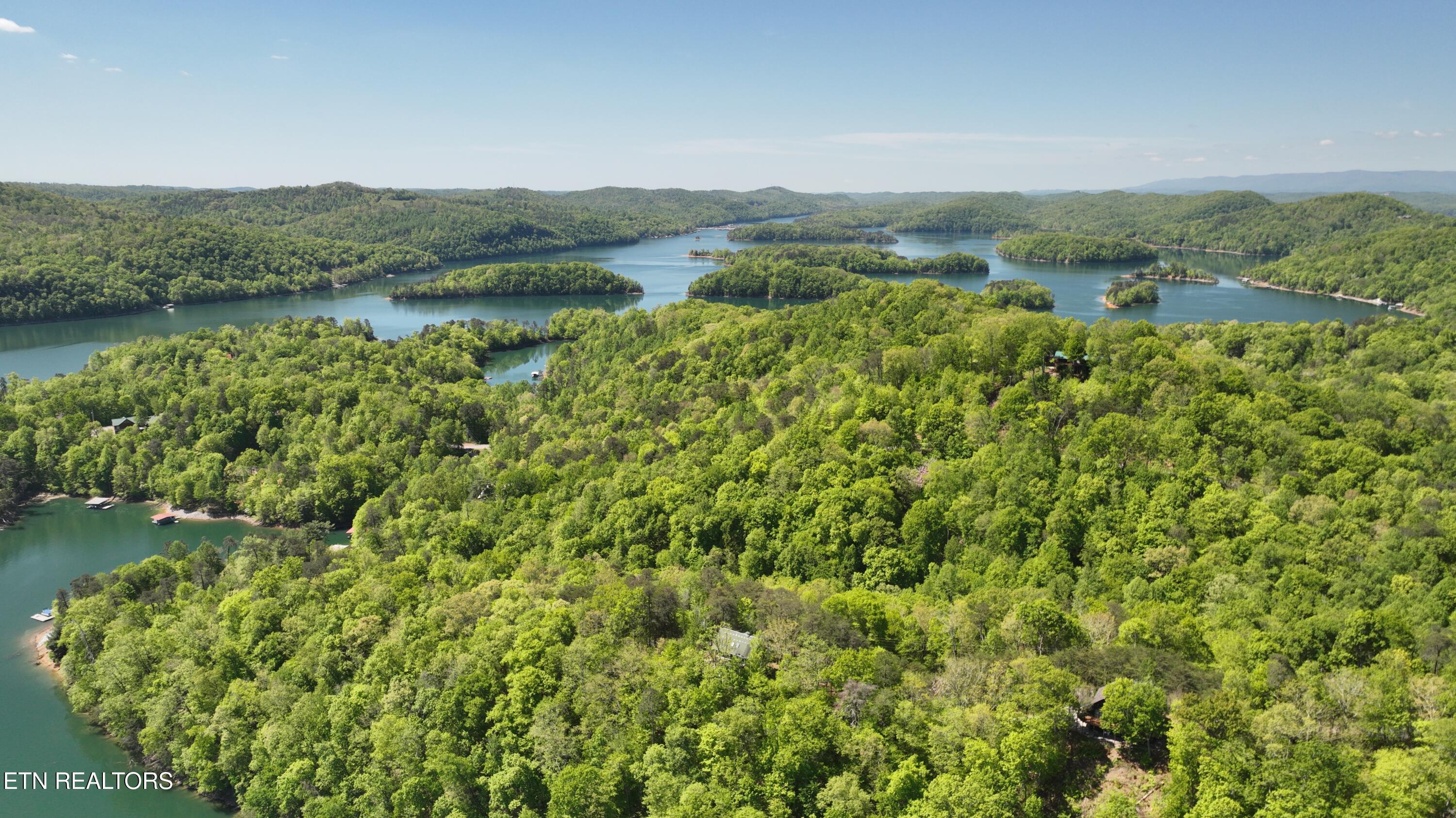 Image 3: L#s 31/60&61 Norris Shores, Norris Lake