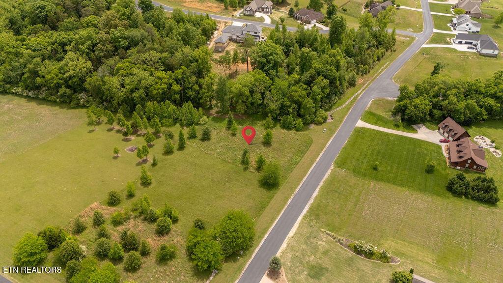 Image 2: DJI_20260501142058_0055_D-HDR
