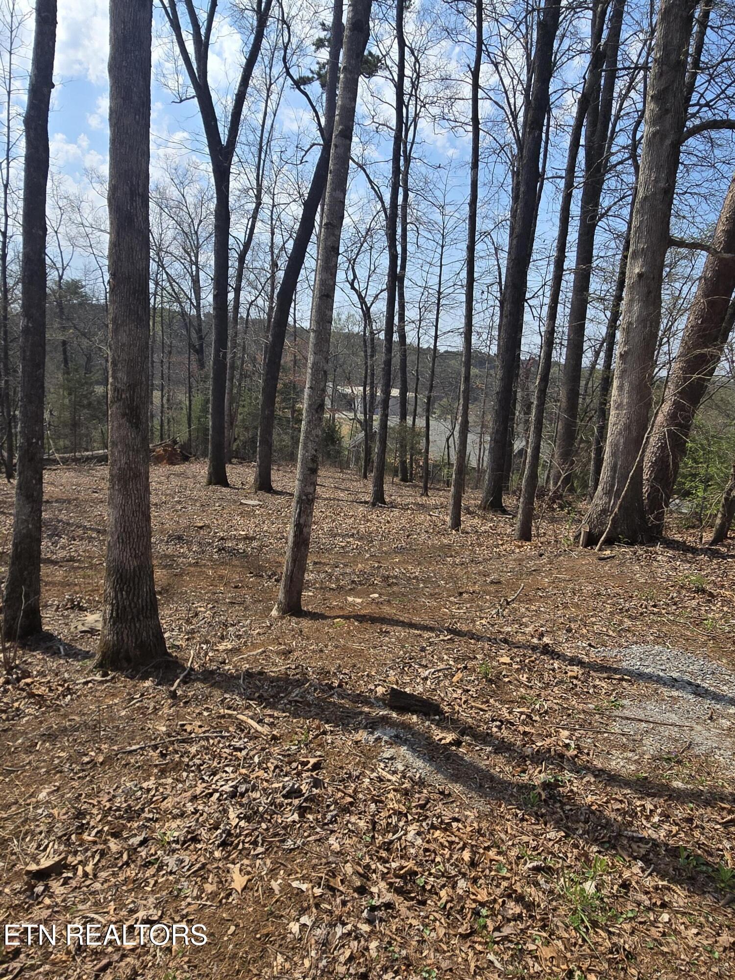 Image 3: 20260321_131347