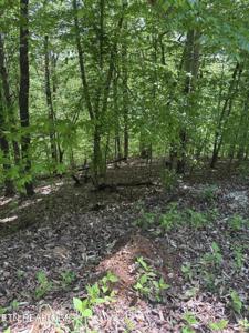 Grandpas Ridge