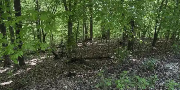 Grandpas Ridge