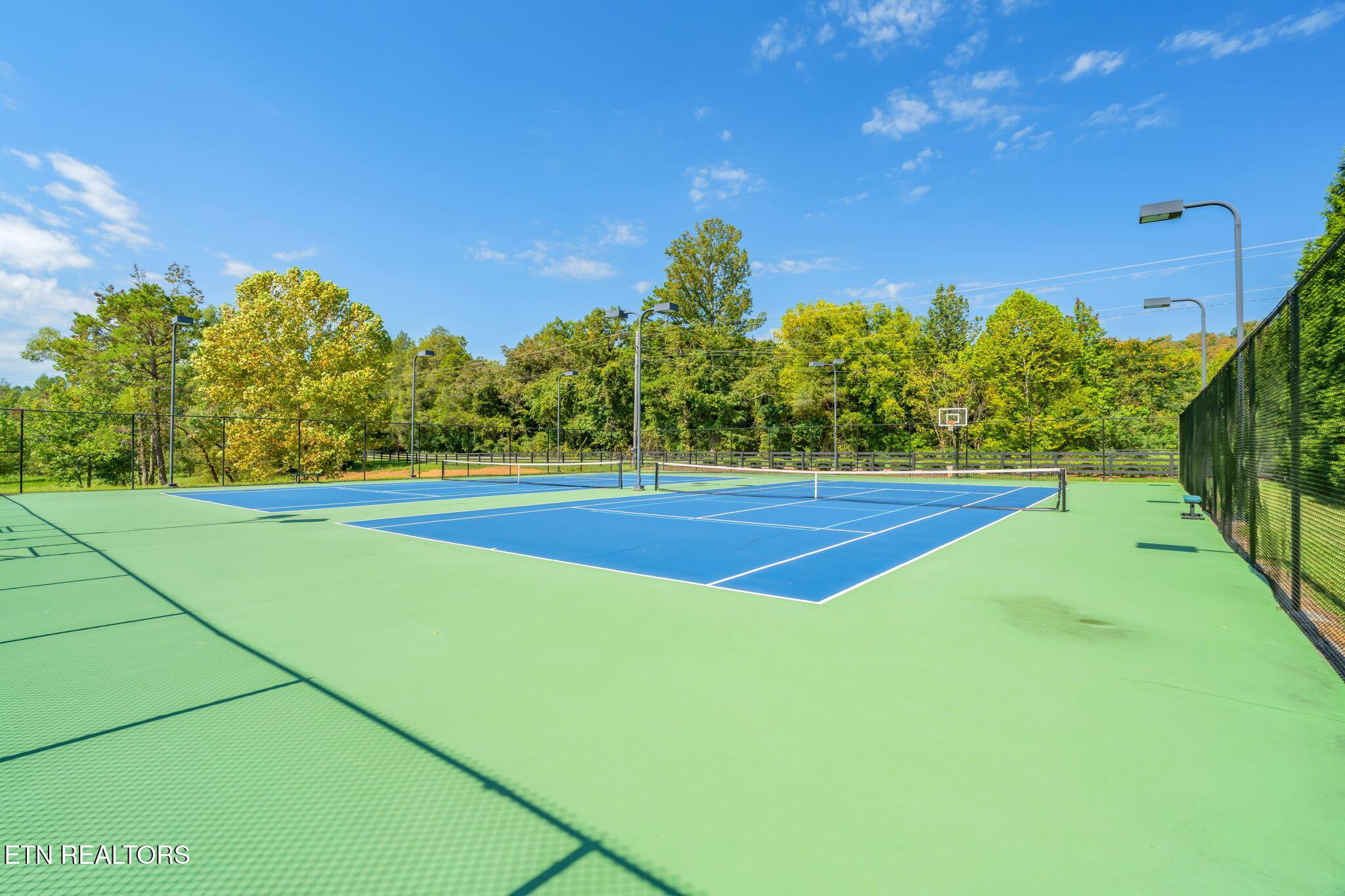 Image 2: 3-web-or-mls-104 Blue Heron Bluff-3