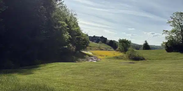 lot 485 Russell Brothers Rd