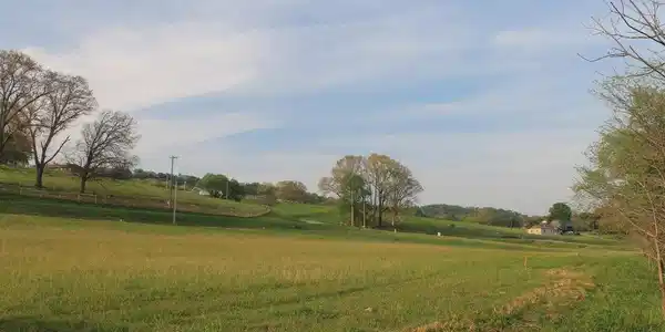 Lot 6 Roddy Branch Rd