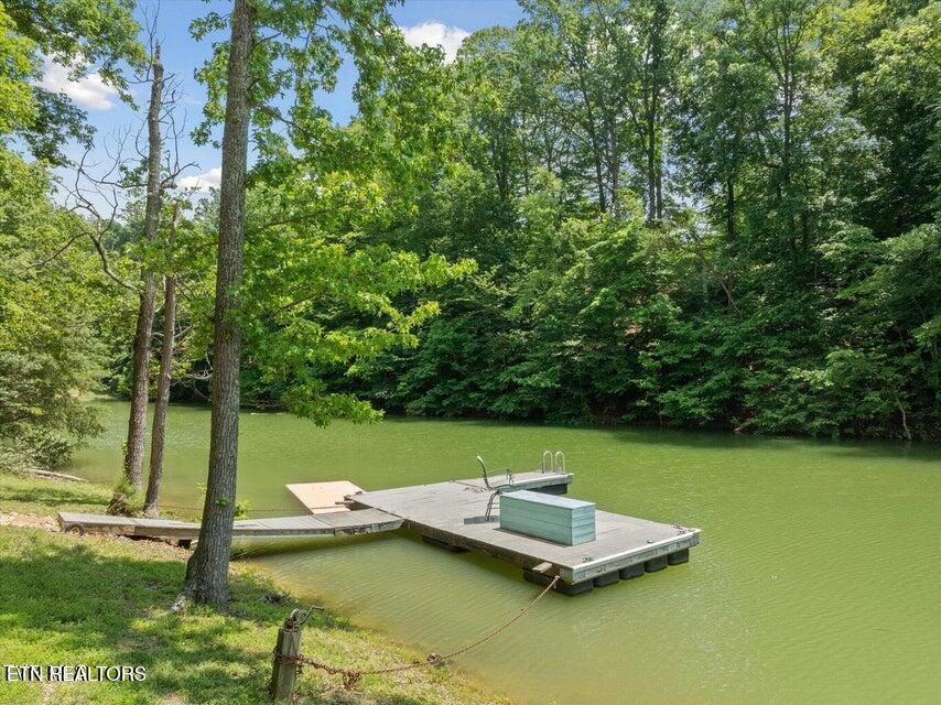 Image 2: Dock Blk Alder