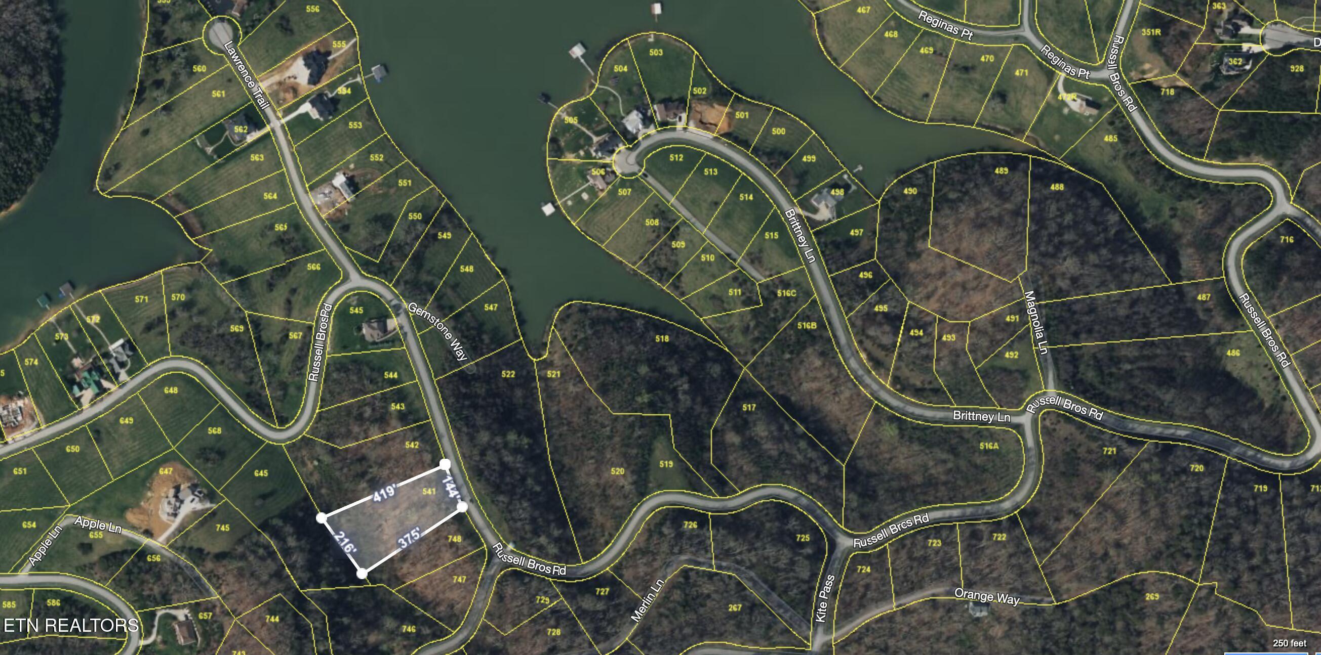 Image 4: Lot 541