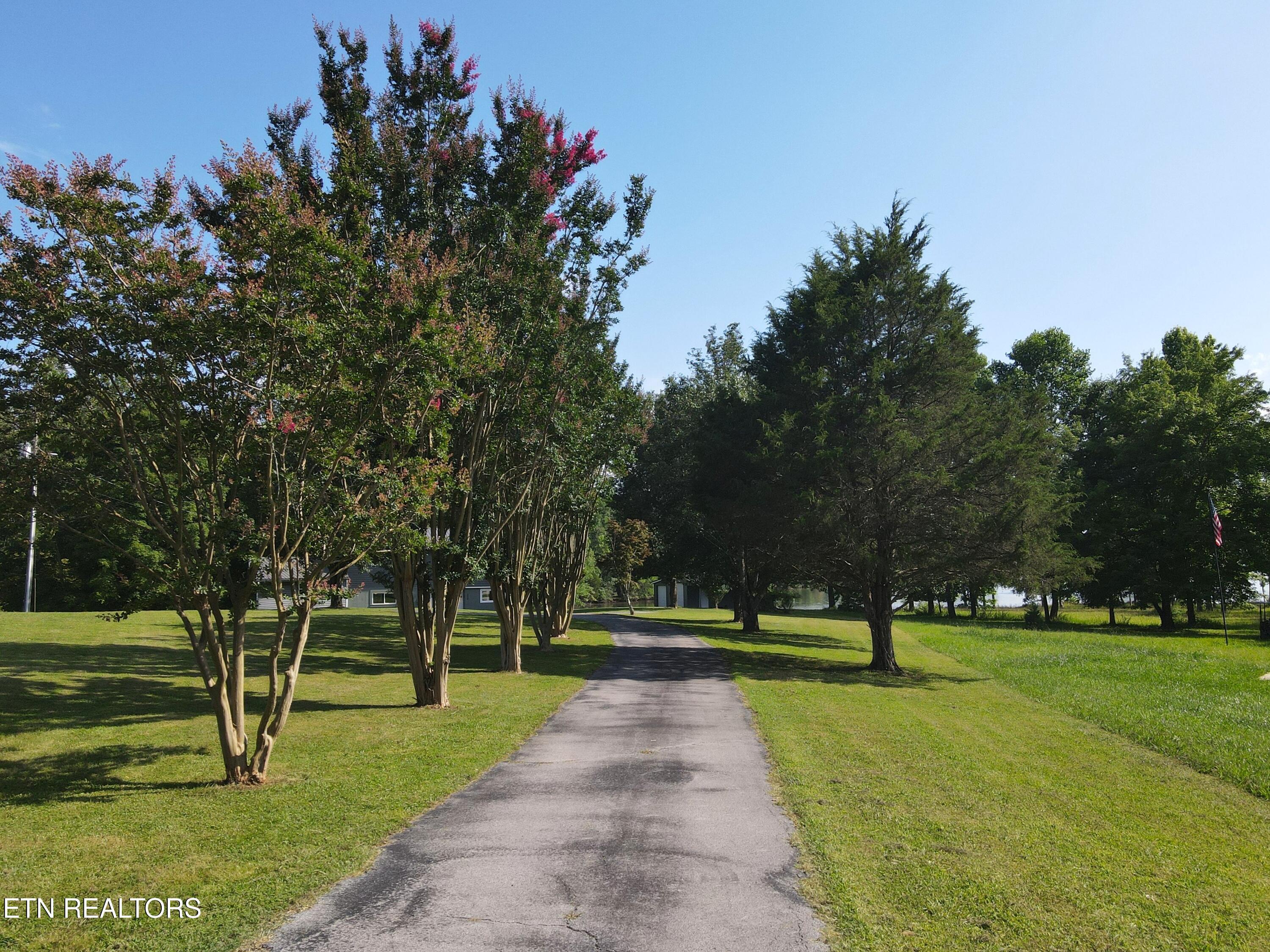 Image 3: DJI_0959