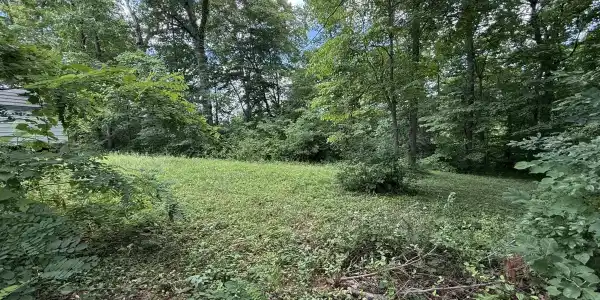 Shoreline Circle