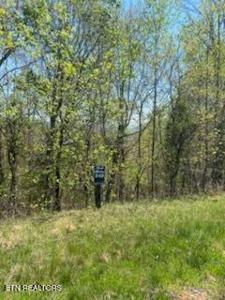 Lot 548 Marble Point Way