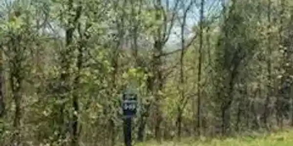 Lot 548 Marble Point Way