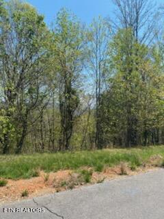Image 3: IMG_8525