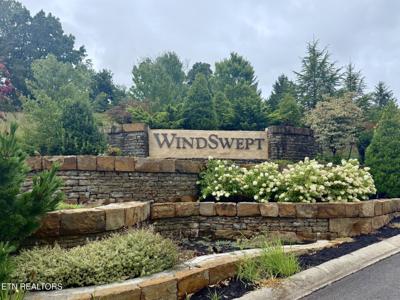 Windswept Way