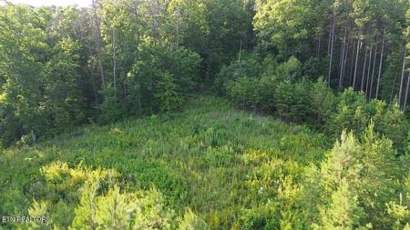 Lot 35 Winding Tr