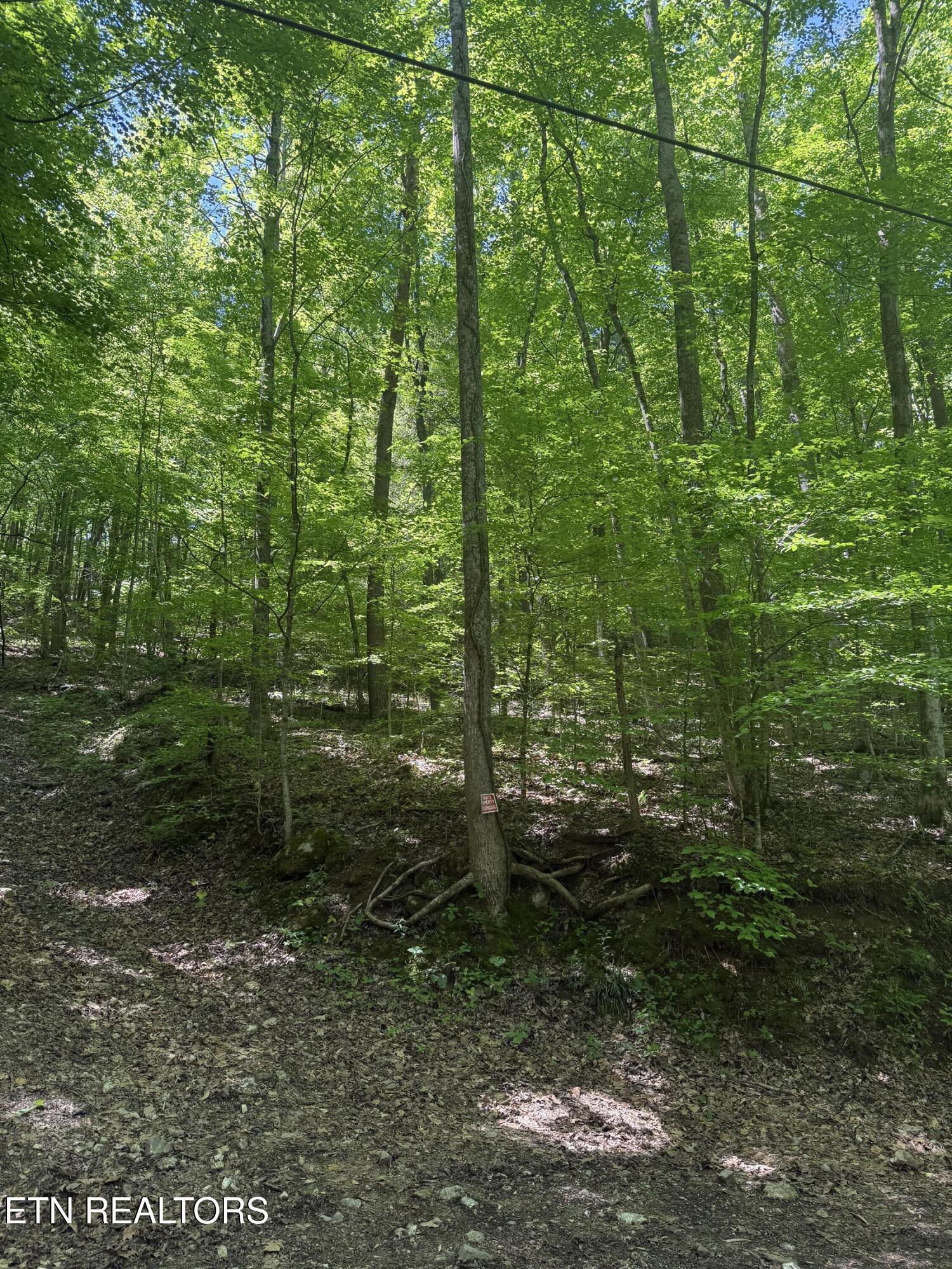 Image 1: IMG_1464