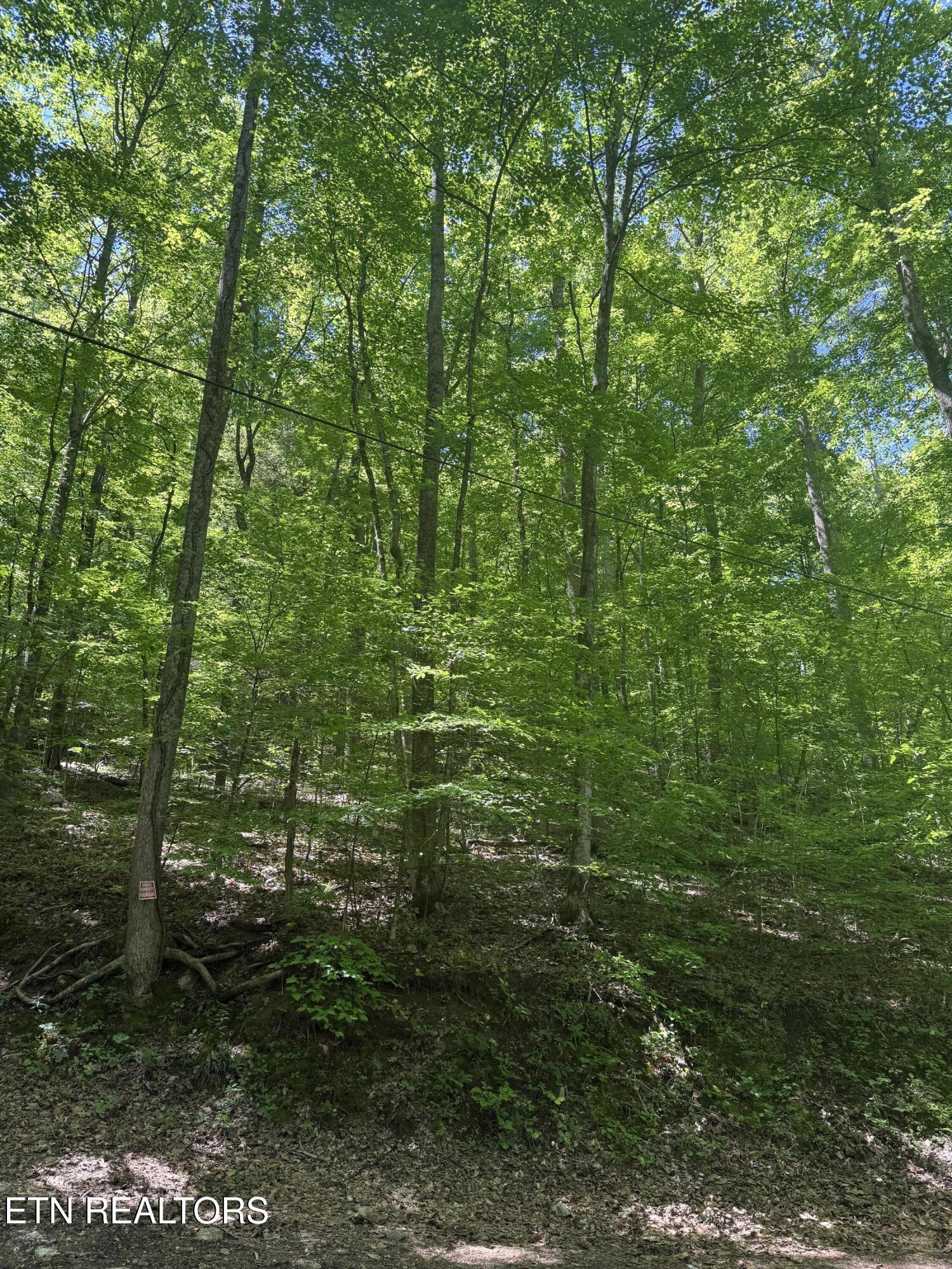 Image 2: IMG_1463