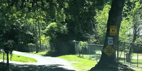Image 2: Judd entrance