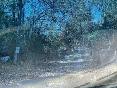 Creek Rd